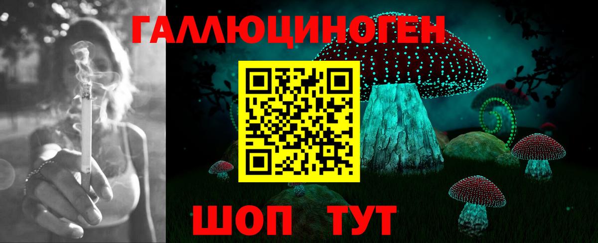 Псилоцибиновые грибы GOLDEN TEACHER Балабаново